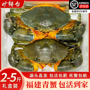 包活鲜活福建青蟹礼盒特大红膏蟹黄油蟹肉蟹超大螃蟹红鲟母蟹礼盒