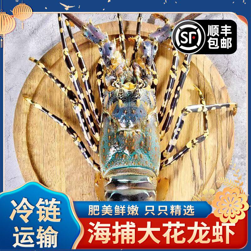 澳洲花龙虾鲜活冷冻大龙虾年货海鲜大礼包特大青龙虾波龙虾