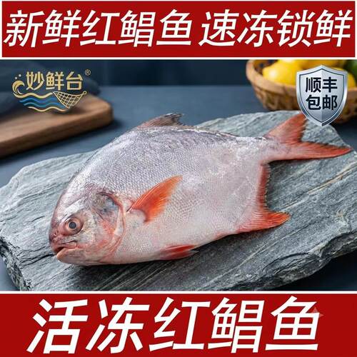 新鲜红鲳鱼速冻锁鲜顺丰包邮