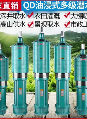 德国进口潜水泵220v家用纯铜高扬程100米深井水泵高压1寸2寸220v