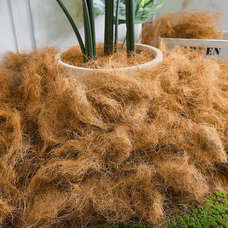 天然椰棕丝绿植花园花盆盖铺面装饰青苔藓覆盖物遮丑动物搭窝垫底