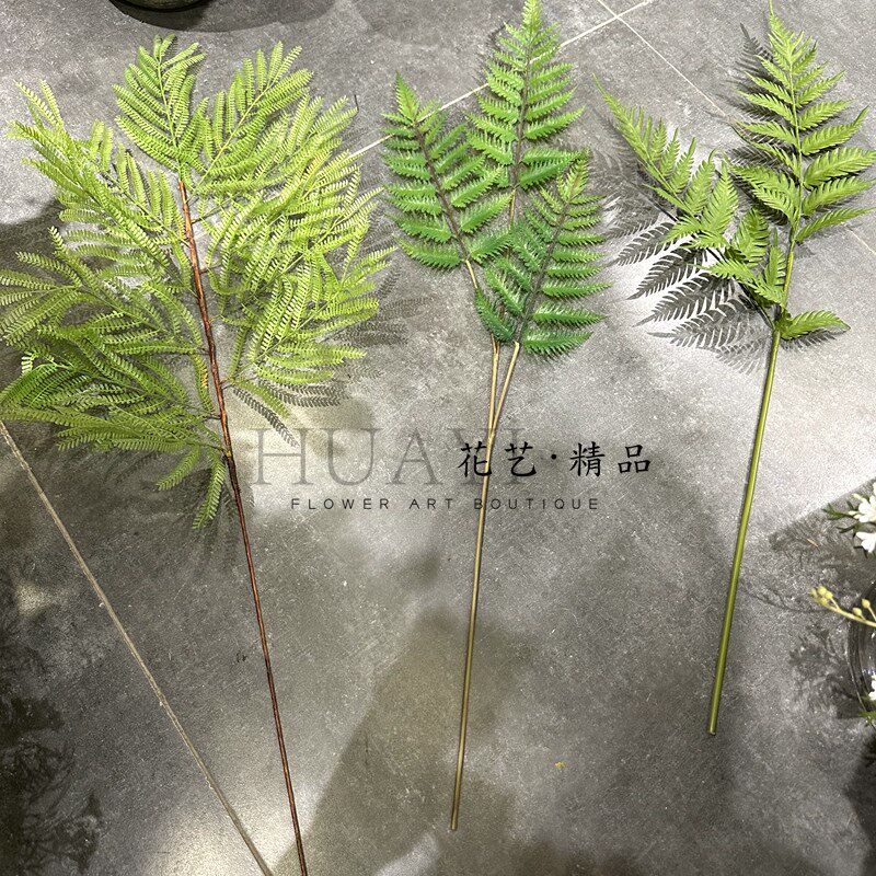 含羞草叶植物绿植仿真羊齿蕨树花艺造景装饰品