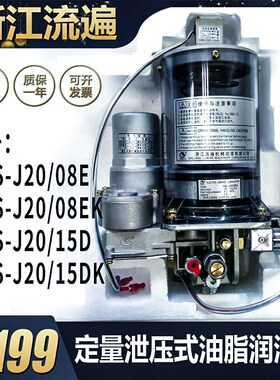 浙江流遍电动油脂润滑泵DBS-J20/08DK08D315DK15EK扬力冲床黄油泵