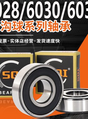 高速SQI轴承型号大全 6024 6026 6028 6030 6032 6034 6036 6038Z