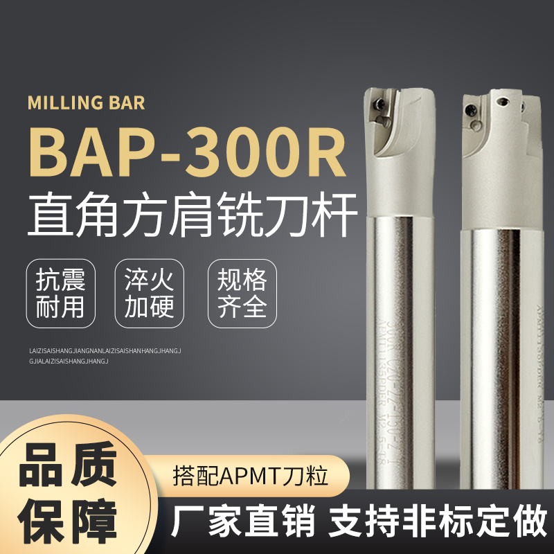 铣刀杆BAP300R-C10/C12/C16/C19-10/11/12/13/14/16-120/150-2T