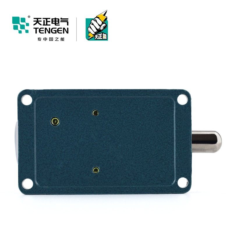 天正电气 行程开关 限位开关 LX19-001 微动开关 直动式自复位