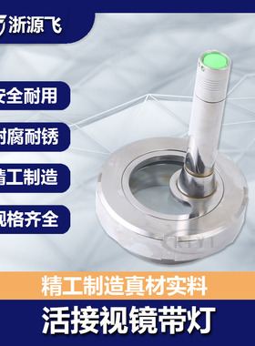 源飞304不锈钢活接视镜带灯卫生级焊接观察活结视窗带LED手电筒38