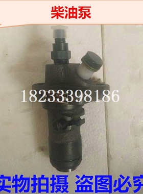 亚美柯YM32喷油泵 YM30油泵 30柴油泵总成 柱塞总成 柴油机配件