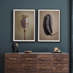 饰客厅组合高端挂画 卧室装 Levon Biss微观植物摄影黑色外框个性