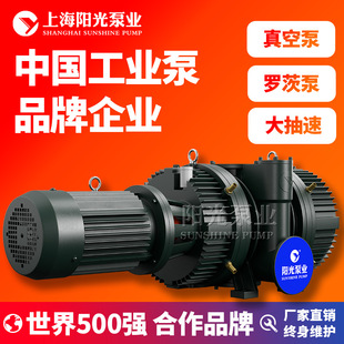 ZJY系列带溢流阀罗茨真空泵 不锈钢气体传输泵 不锈钢电动罗茨泵