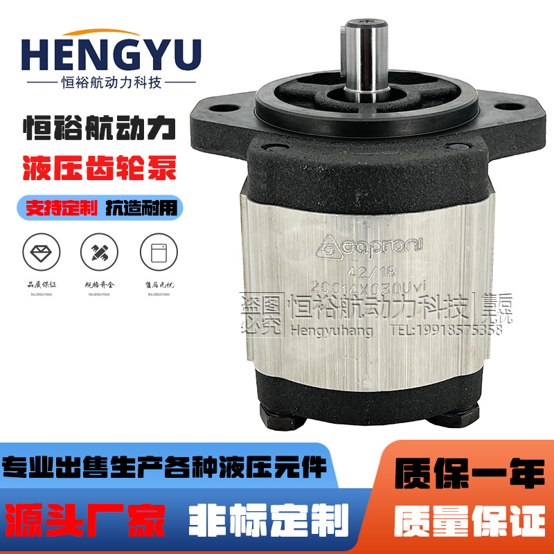 卡普罗尼油泵Caproni齿轮泵10C2X053M 20C14泵 20A6.3高压液压泵