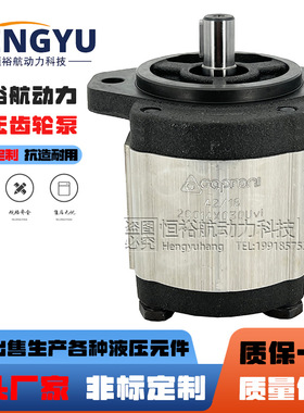 卡普罗尼油泵Caproni齿轮泵10C2X053M 20C14泵 20A6.3高压液压泵