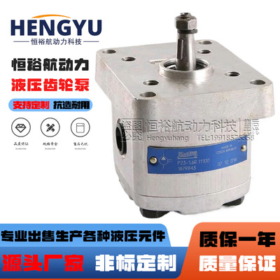 捷克油泵JIHOSTROJ齿轮泵P23-3.6L-A03D01-CG02泵 P23-2.1R液压泵