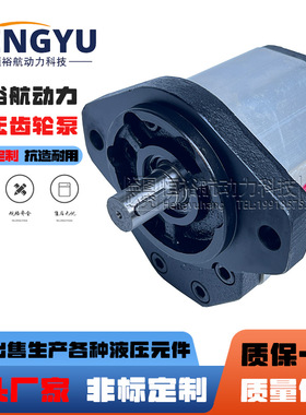 布赫液压泵BUCHER齿轮泵AP300/27/31/38/45/53/63/75D818-FP油泵