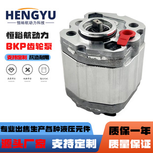 博顿油泵Boden齿轮泵BKP0.5B1S1.5G0L1 BKP0.5A1D1.00C0L2液压泵