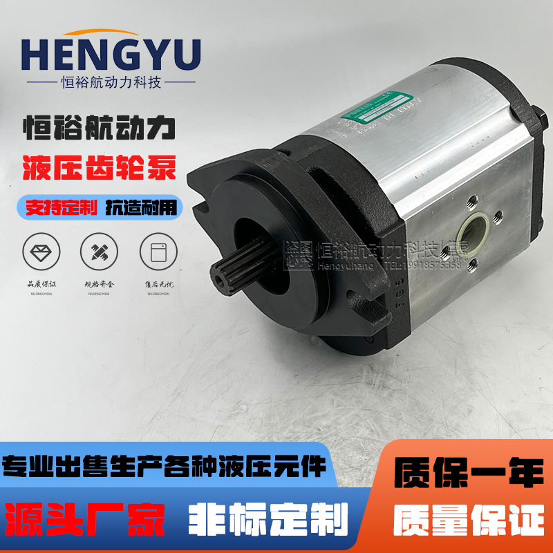 罗茨液压泵RONZIO齿轮泵03ZBG90B347DN 03ZBG50L348D 03ZAG30Q064