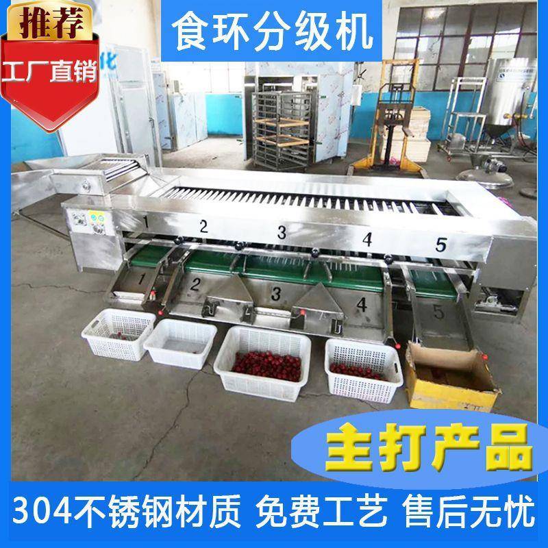 水果分选设备 苹果 西红柿直径分选机 江西脐橙分级机 不伤果