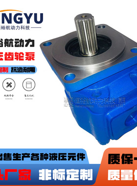 泊姆克液压泵PERMCO齿轮泵P5100-F63/F80/F100高压铸铁液压油泵