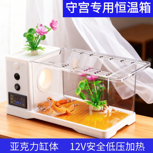 爬宠饲养箱守宫饲养盒智能恒温缸