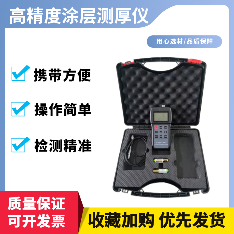 高精度涂层测厚仪 T100型高精度涂层测厚仪无损检测仪器