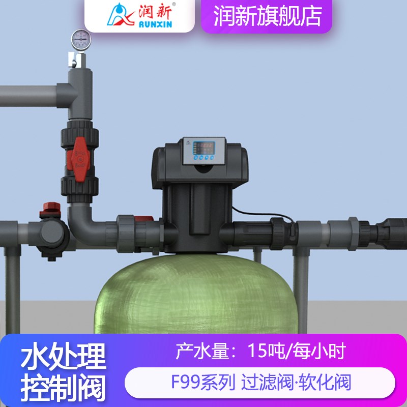 润新锅炉软化给水反渗透预处理多路阀F99B1 软化阀 F99A3 15T侧装