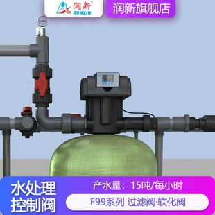 润新锅炉软化给水反渗透预处理多路阀F99B1 软化阀 F99A3 15T侧装