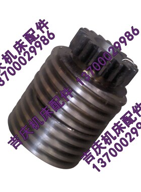 沈阳中捷机床厂 镗床TPX6113 镗床蜗轮 蜗杆一套 26445 26444 T90