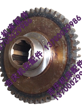 沈阳中捷摇臂钻床Z3080X25 Z3063钻床配件 61320齿轮 Z48  M2.5