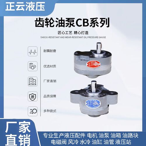齿轮油泵CB-B2.5 B4 B6 B10 B16 B20 B25 B32 B40 B50 B63 80 100