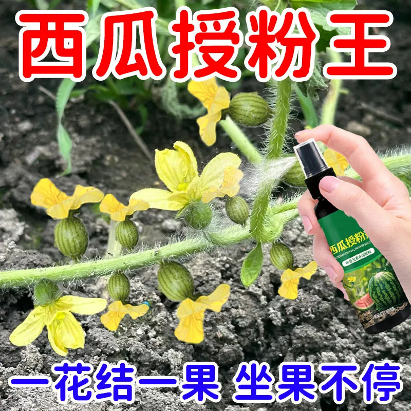 西瓜授粉剂点花花药免沾花授粉防落果保果素防畸形专用西瓜肥料
