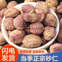 砂仁中药材正品官方旗舰店正宗云南砂仁干货500g无硫调味砂仁香料