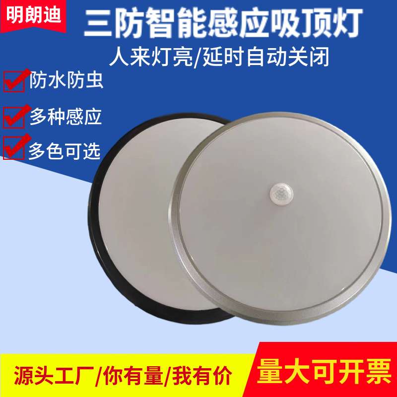 LED人体感应灯防水雷达感应吸顶灯防虫楼梯走廊家用智能声控感应