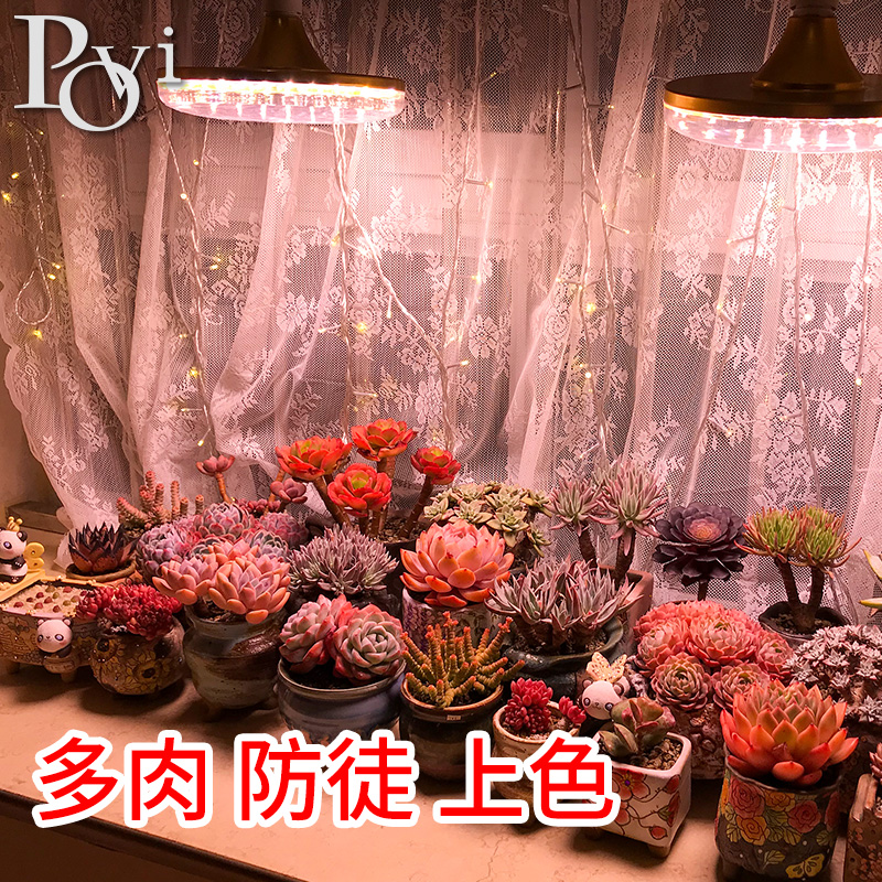 珀誉 全光谱ledl仿太阳植物生长灯 多肉防徒上色家用室内补光灯