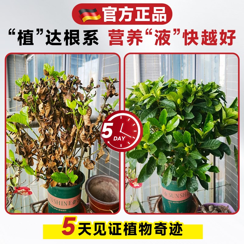 植物营养液水培室内盆栽通用型绿植花卉鲜花多肉枯黄叶烂根专用药