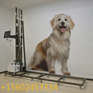 3d墙面打印机墙体彩绘机打印机 3d墙体喷绘彩绘机厂家 智能立式