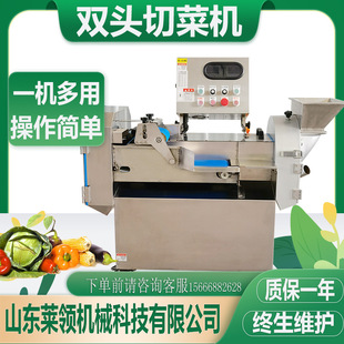 多功能姜丝快速切割机 不锈钢果蔬切丁设备 全自动蘑菇切片切丁机