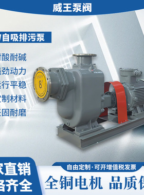 一件代发排污离心自吸泵ZW250-420-20，不锈钢304机械密封自吸泵