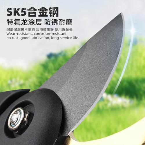 高度修枝GPO剪果树桑花卉园艺剪子家园林枝粗条用修剪树枝专用硬