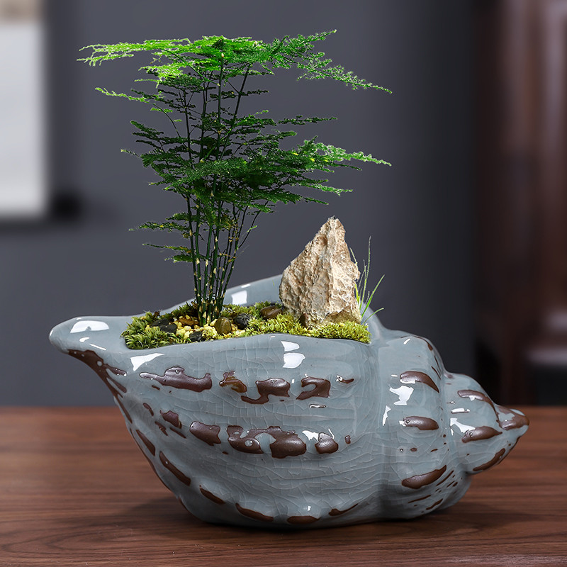 哥窑花盆陶瓷紫砂兰花专用蝴蝶兰绿植造景室内客厅吊兰文竹盆景盆