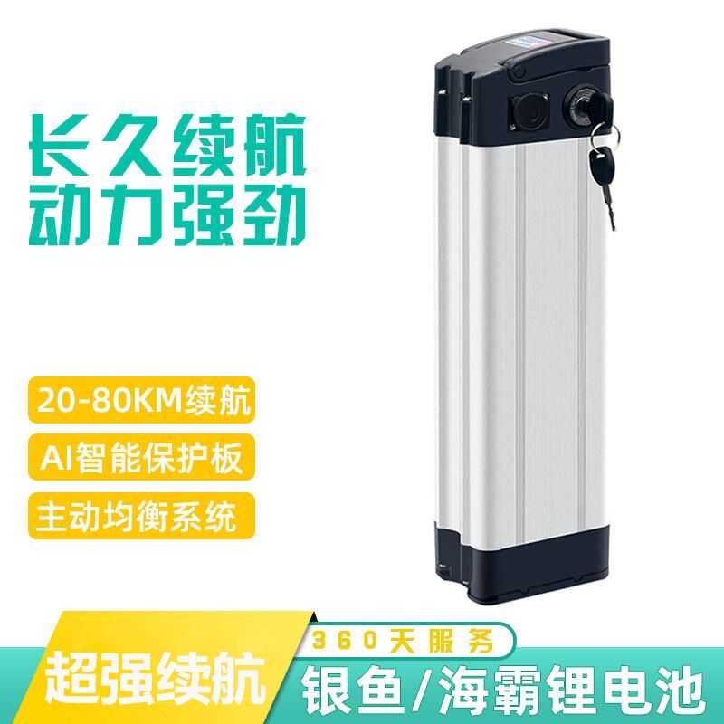 德国进口折叠车48V20Ah锂电池银鱼海霸爱玛邦德富士达通用48伏40