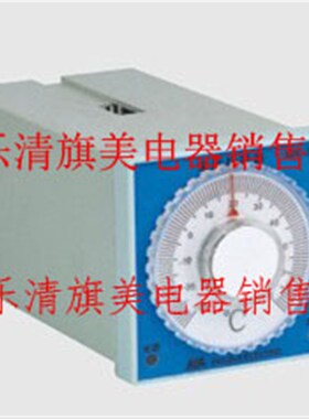 温度监控器 WK-2P(TH)