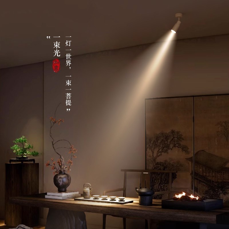 一束聚光小射灯明装可调变焦3~60小角度餐厅玄关迷你氛围筒灯