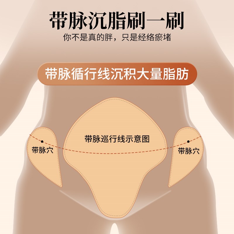 经络刷按摩肚子神器揉腹仪腹部按摩刷全身通用筋络刷带脉疏通工具
