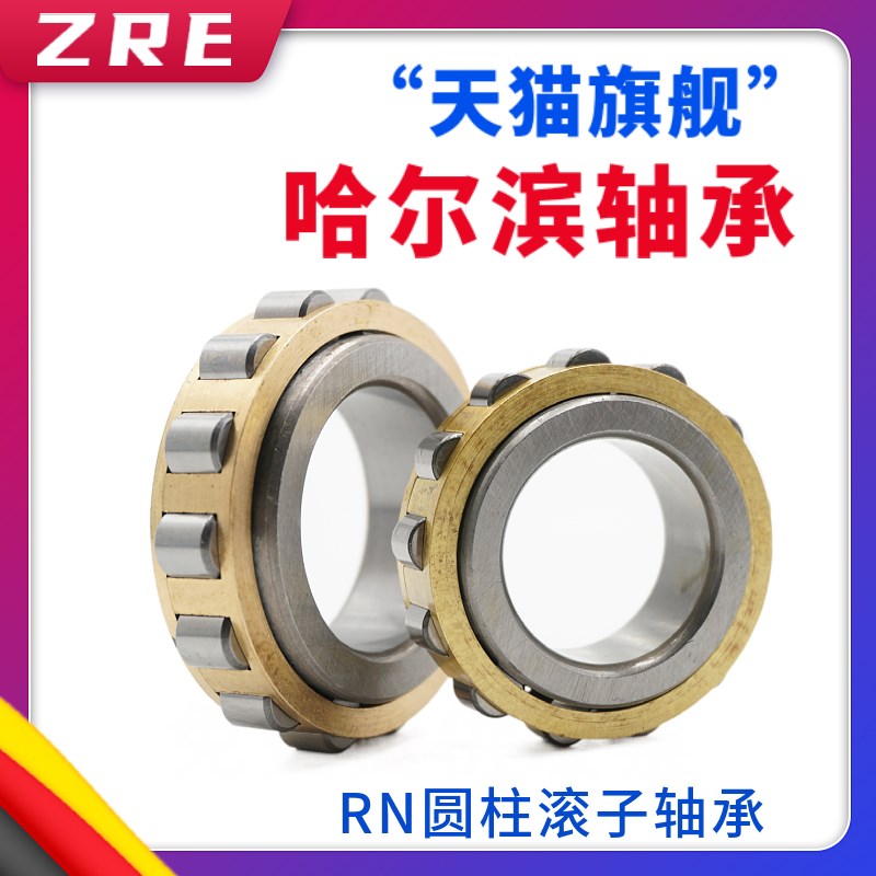 减速机轴承RN203 204 205 206 207 208 209 210 212 213 214 215M