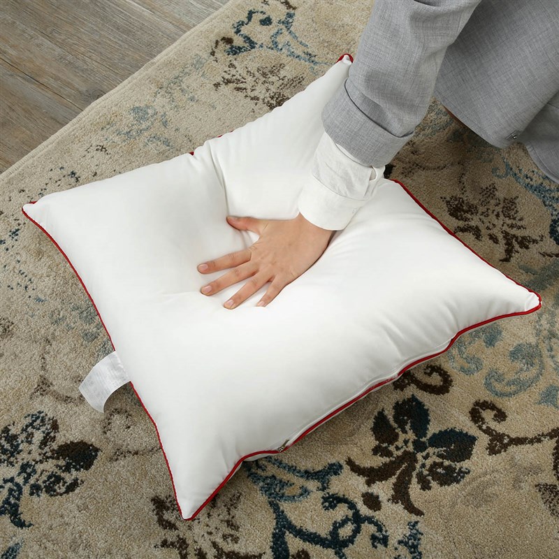 一对装】可水洗抱枕芯沙发靠垫芯腰靠枕芯子45 50 方形内胆芯子