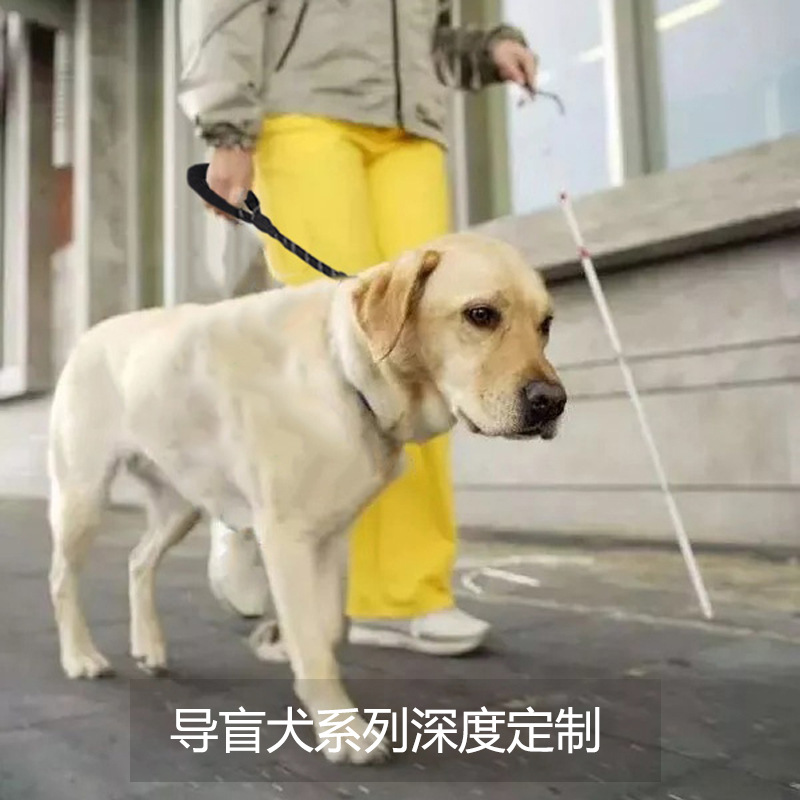 优质狗链子大型犬P链一体反光圆绳尼龙编织牵引绳 防爆冲遛狗绳子