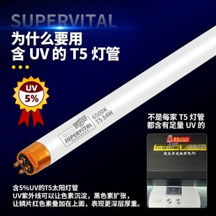 速倍妥霞光号龙鱼发色灯管鱼缸增艳灯观赏红龙三基色T5全光谱