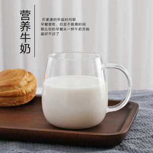 牛奶玻璃杯单层透明带把水杯简约加厚家用耐高温可电陶炉加热 欧式