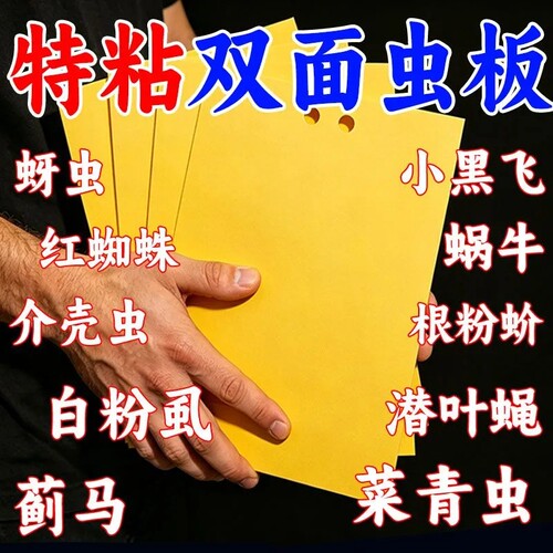 双面黄板粘虫板诱捕果蝇蓟马