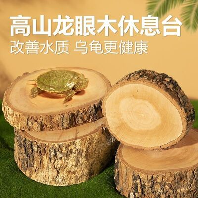 乌龟晒背台爬台龙眼木防烂甲腐皮造景摆件木质龙眼乌龟晒台水龟